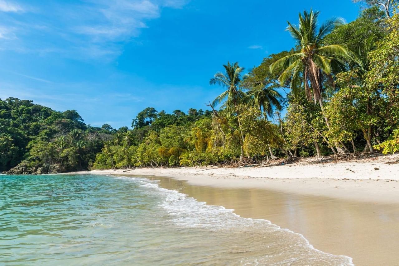 Kikazaru Beautiful Boutique Hotel With Pool (Adults Only) Manuel Antonio Exteriér fotografie